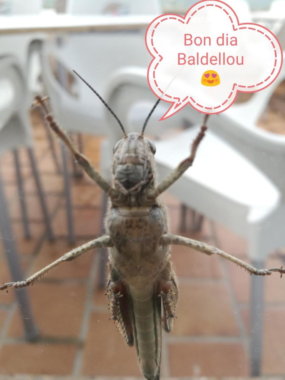 Casa Albano Hostel Baldellou ภายนอก รูปภาพ